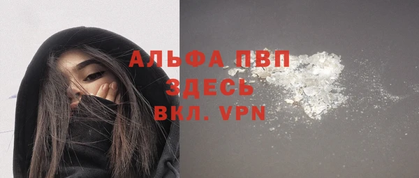 индика Покачи