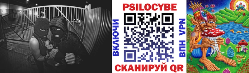 Псилоцибиновые грибы ЛСД  Сальск 