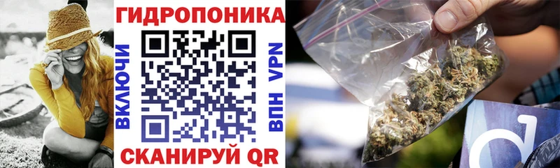 Каннабис THC 21%  закладки  Сальск 